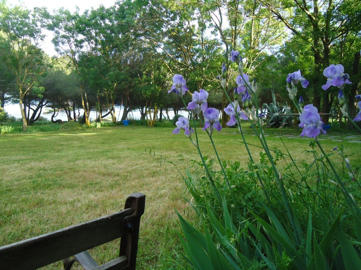 Au Bord De Thau Bed & Breakfast Марсилан Екстериор снимка